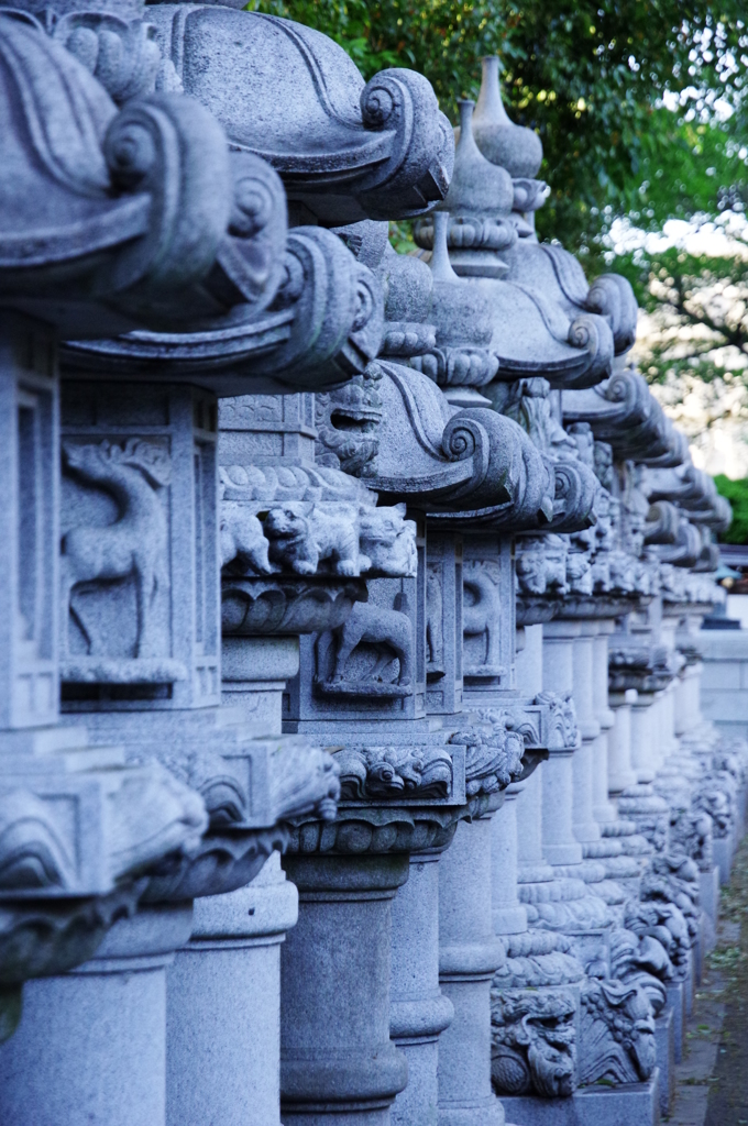 背比べ