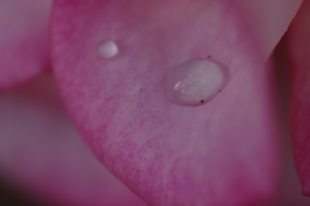 水滴