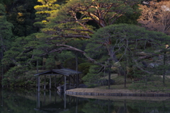 中の島