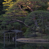 中の島