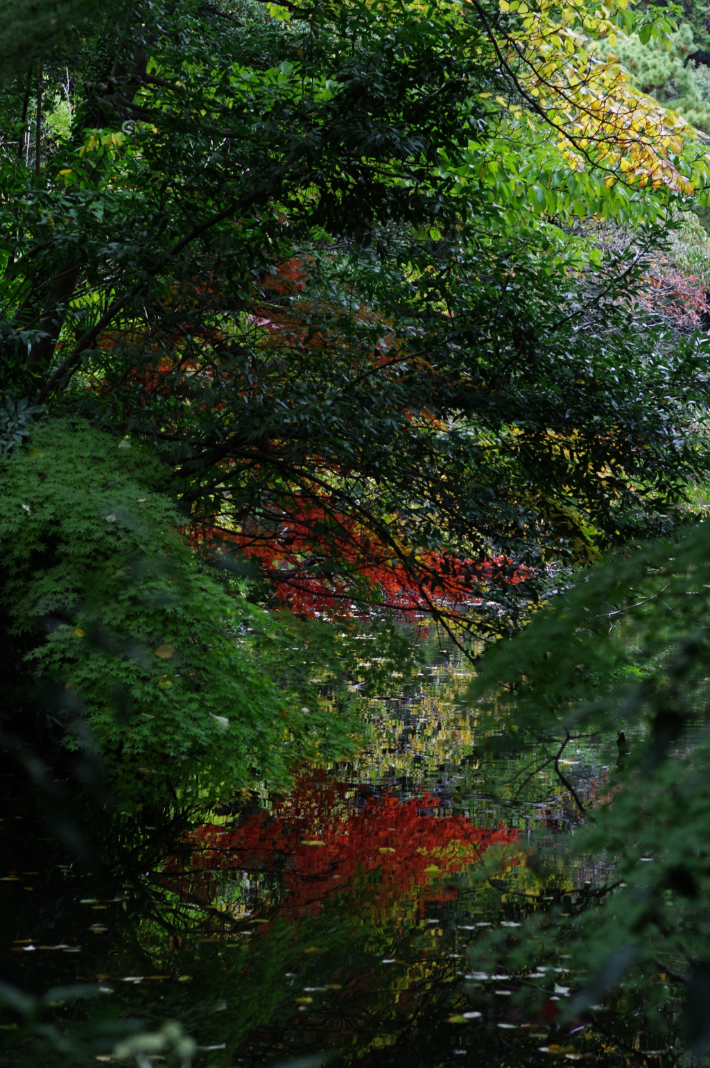 映り込み