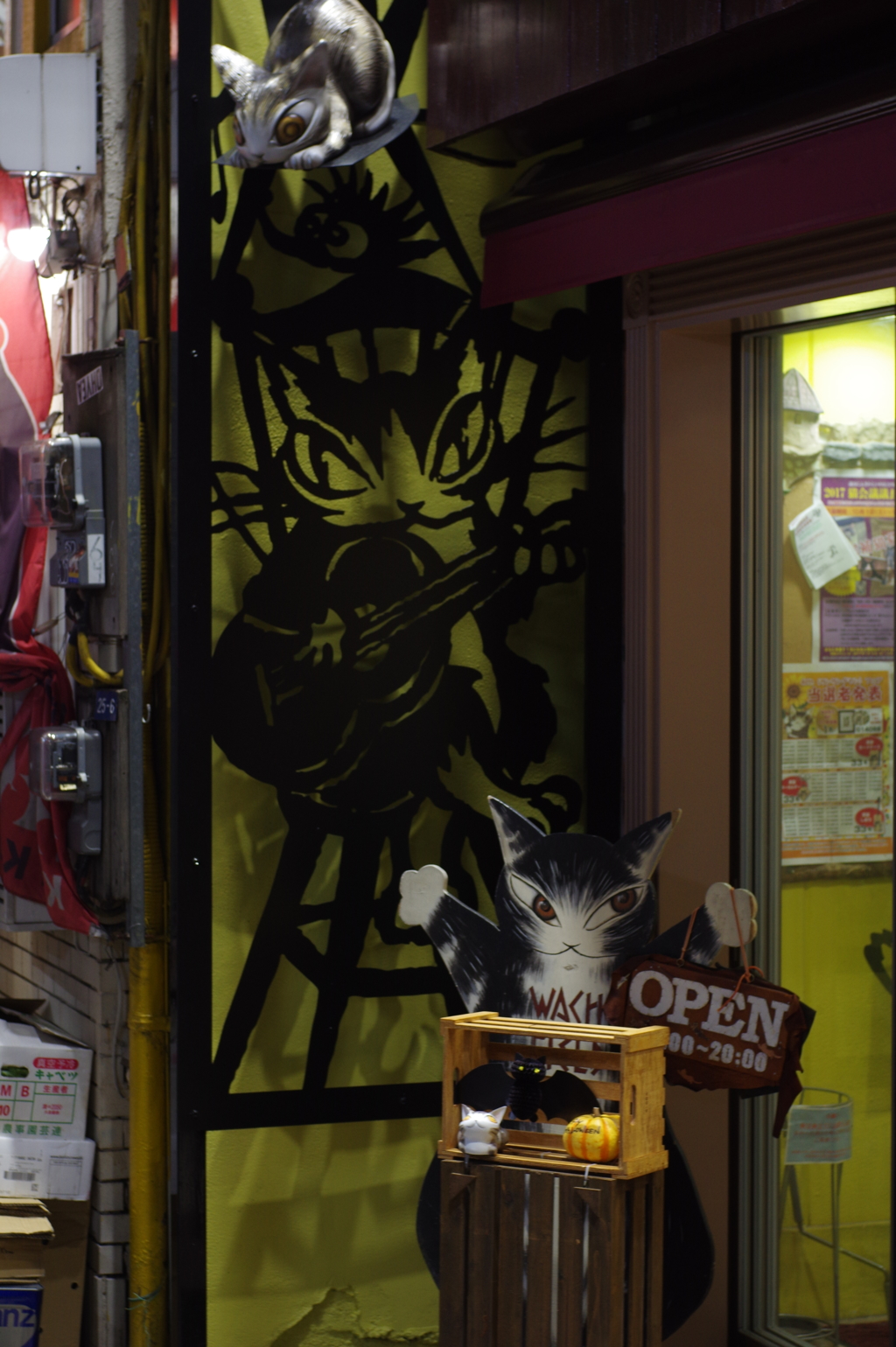 猫の店