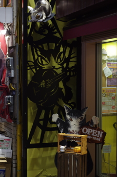 猫の店
