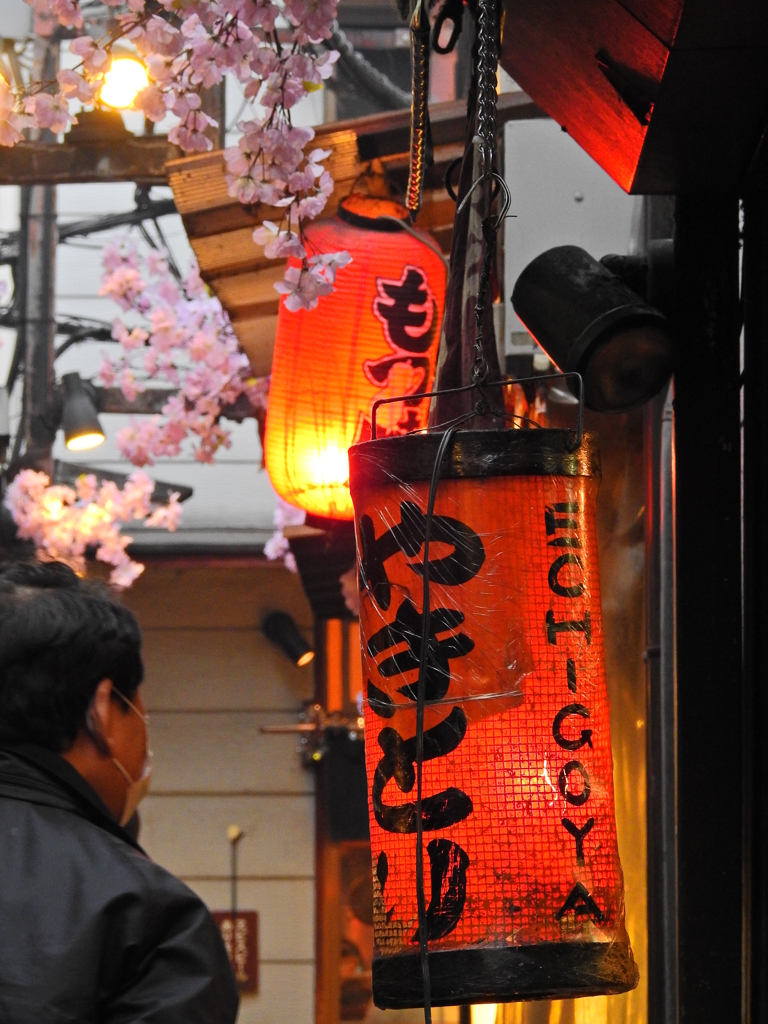 「思い出横丁」の風景