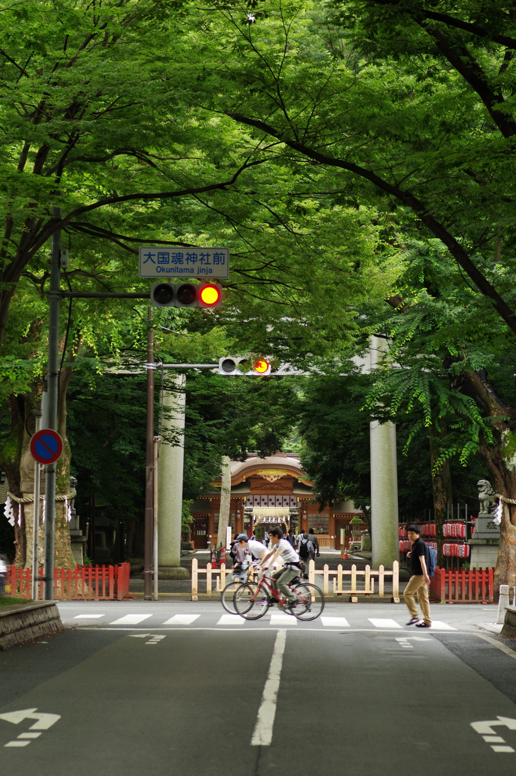 府中・駅前の欅並木（４）＠100mm