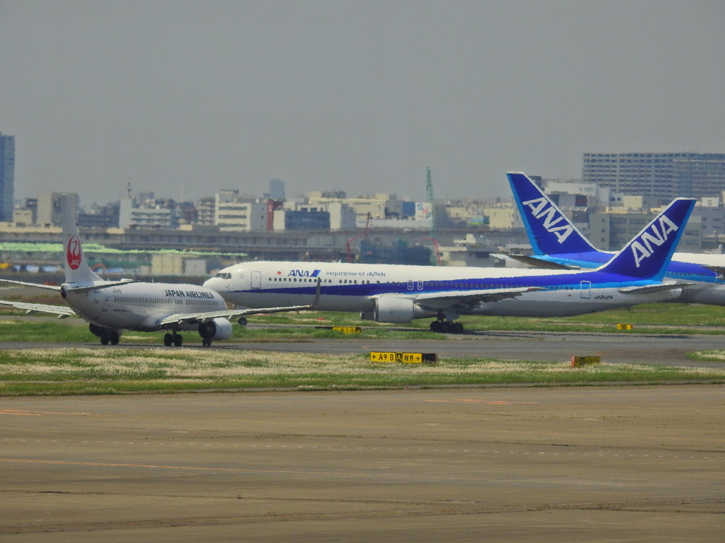 信号待ち