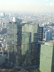 都庁展望台から