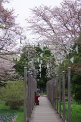 風車の橋