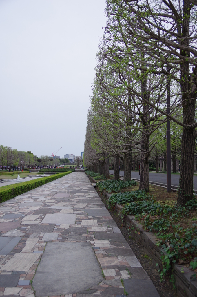 花見の帰路