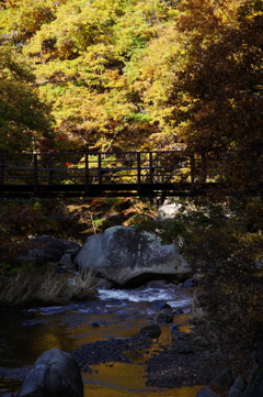 つり橋の下、渓流に映る紅葉