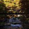 つり橋の下、渓流に映る紅葉