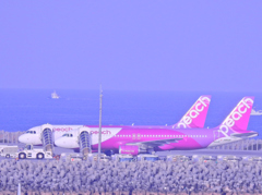 空と海と飛行機