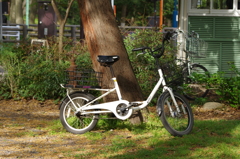 公園のカフェの自転車