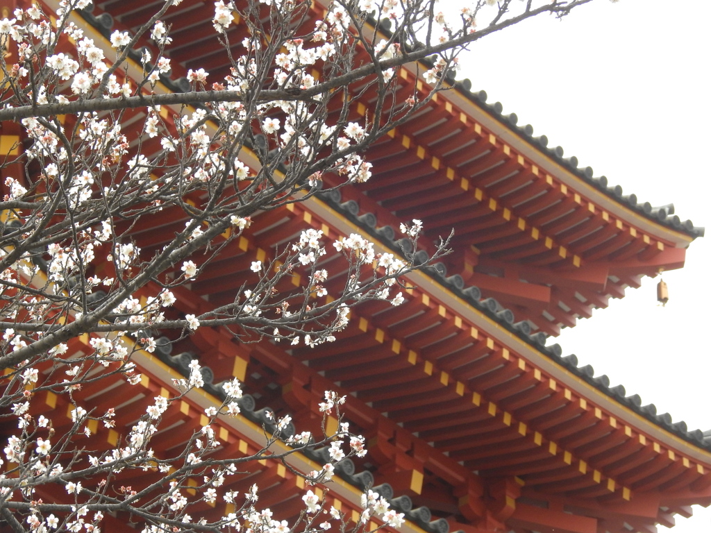 高幡不動