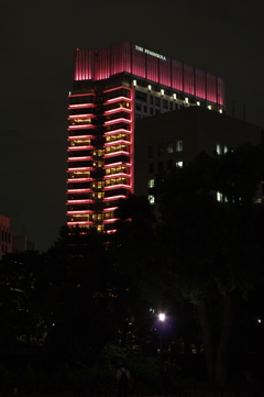 日比谷公園からの夜景　その３