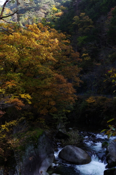 つり橋からの風景