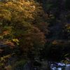 つり橋からの風景