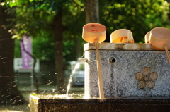 夕日の中の手水舎