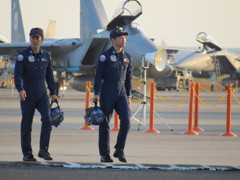 ﾌﾞﾙｰｲﾝﾊﾟﾙｽ ﾊﾟｲﾛｯﾄ