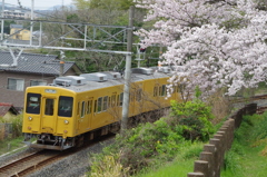 2016.4.3　桜　電車