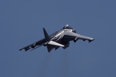 2016.5.5 岩国基地フレンドシップデー