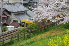 2016.4.3　桜　電車