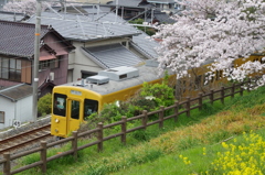2016.4.3　桜　電車