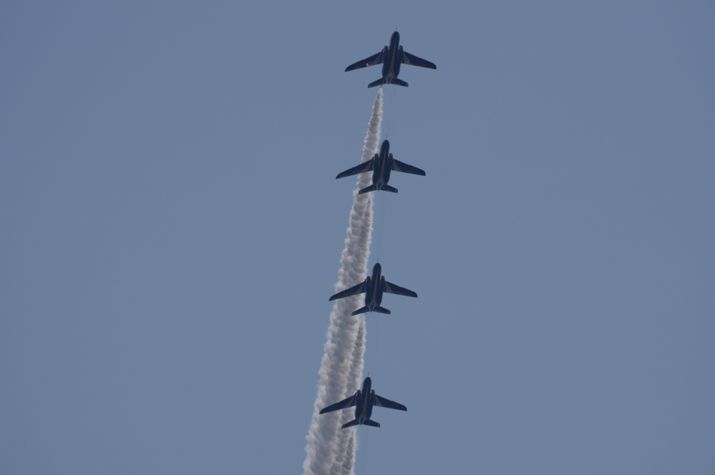 IMGP6599