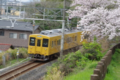 2016.4.3　桜　電車