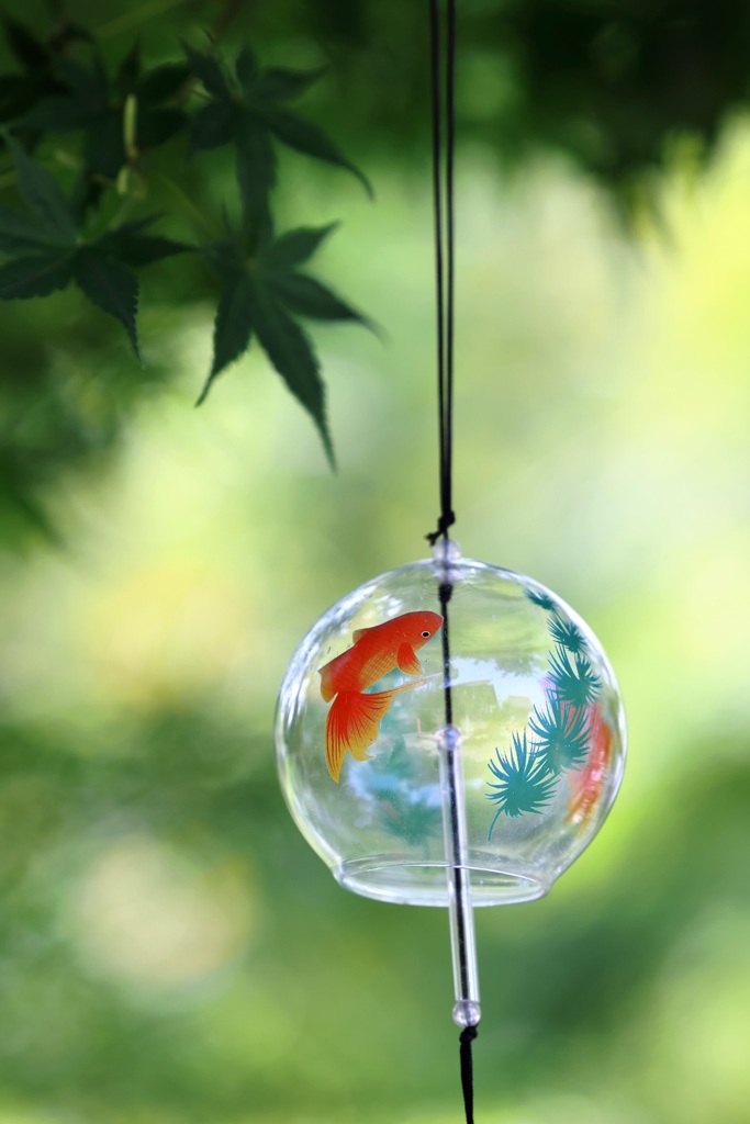 金魚鉢