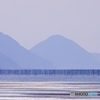 海苔の養殖の棒…？