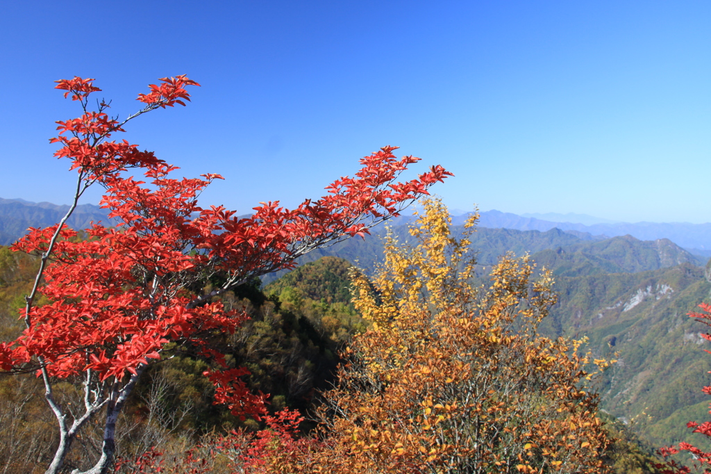 両神山山頂より