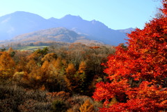 錦秋八ヶ岳