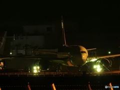 夜の成田空港