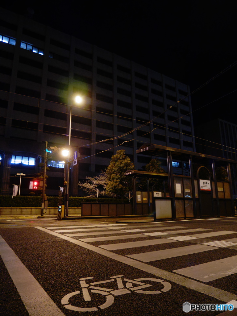 松山県庁前歩道にて