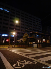 松山県庁前歩道にて