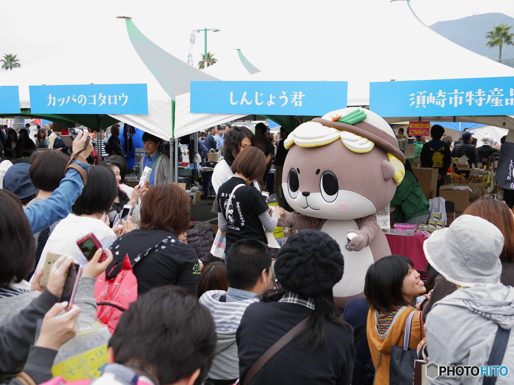 しんじょう君はいつも大人気！