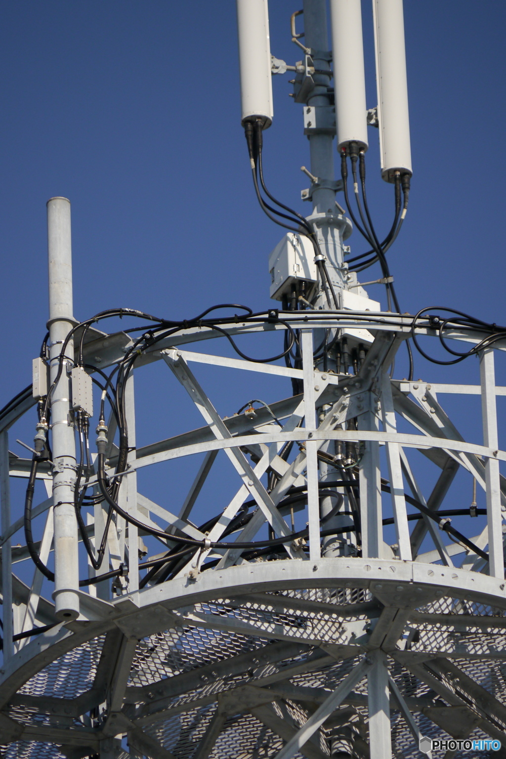 望遠端での撮影