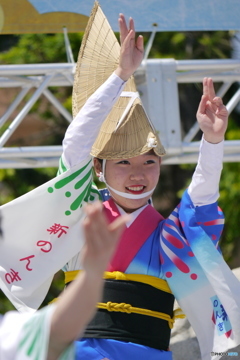 阿波踊り　新のんき連（徳島県）