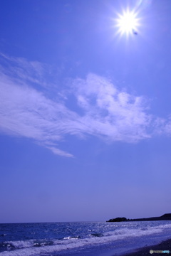 海