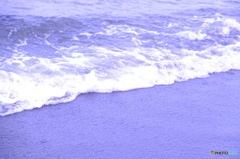 海