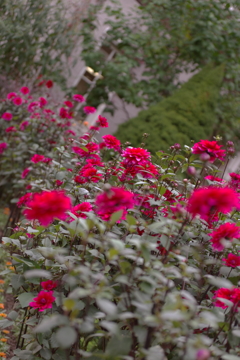 あの花園で　またいつか・・・