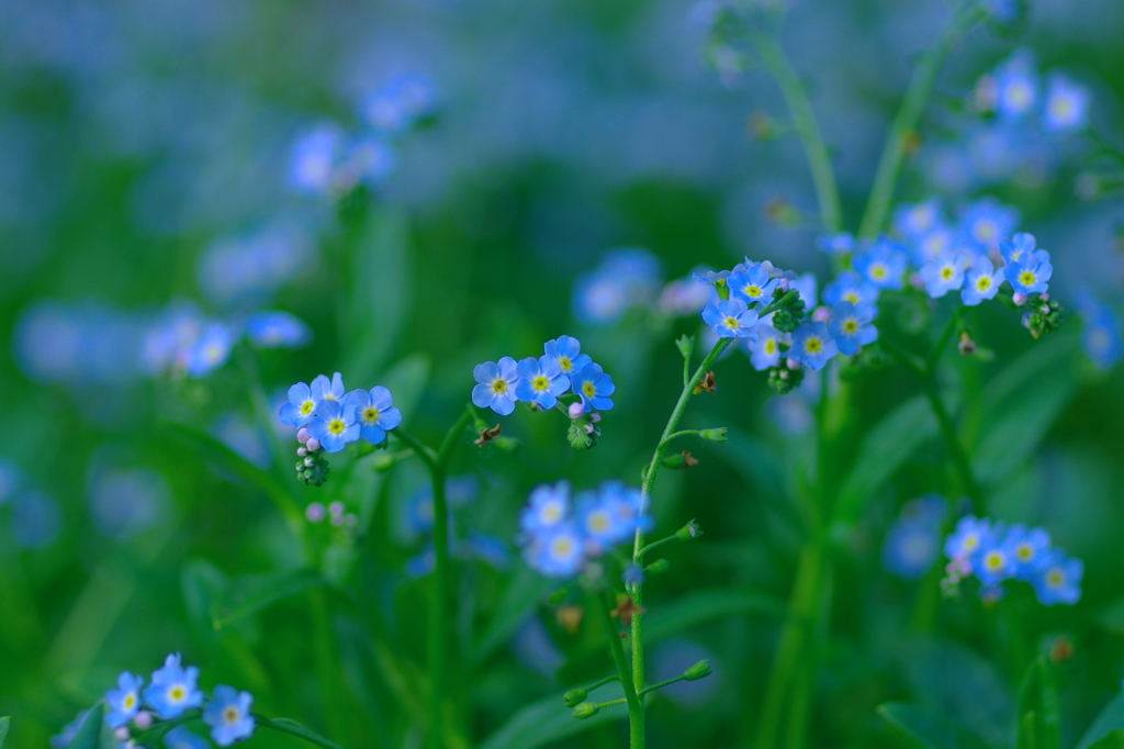 水色の時・碧空へ届くような想い