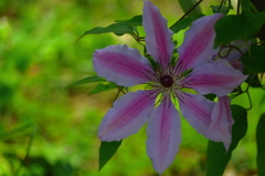 君は僕の心の太陽