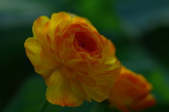 僕の心にはいつも君がいる