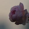 時-forever for ever-