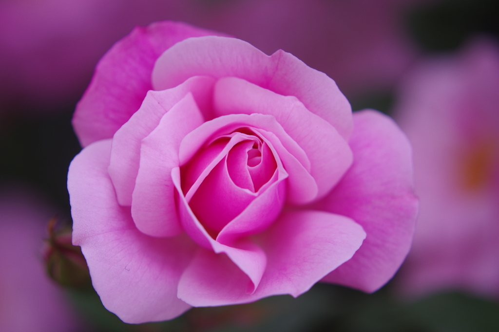 君を・・・そっと抱きしめる・・・