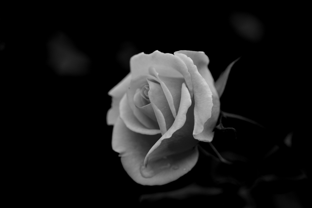 この歌をfor　you