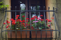 ここから僕にまた夢を魅せて