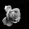 Time To Say Goodbye